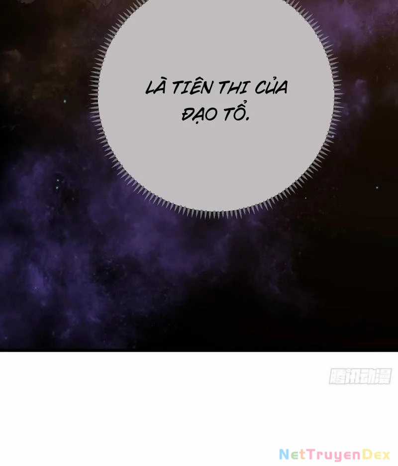 Đại Thừa Kỳ Mới Có Nghịch Tập Hệ Thống Chapter 49 trang 24