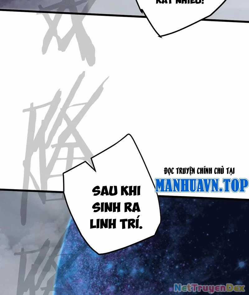 Đại Thừa Kỳ Mới Có Nghịch Tập Hệ Thống Chapter 49 trang 49