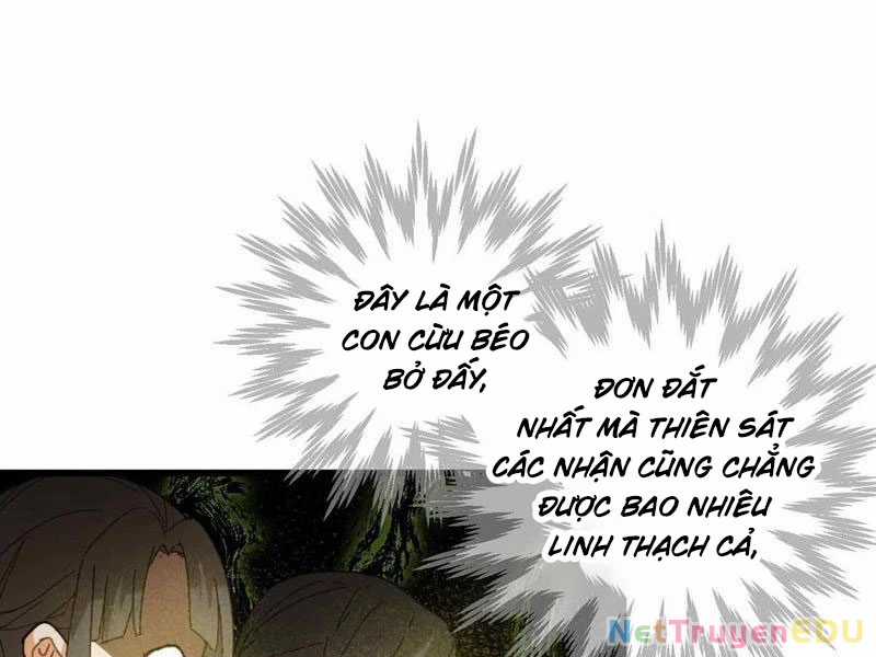 Đại Thừa Kỳ Mới Có Nghịch Tập Hệ Thống Chapter 53 trang 24