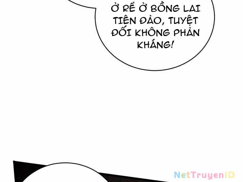 Đại Thừa Kỳ Mới Có Nghịch Tập Hệ Thống Chapter 54 trang 63