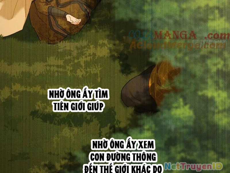 Đại Thừa Kỳ Mới Có Nghịch Tập Hệ Thống Chapter 54 trang 96