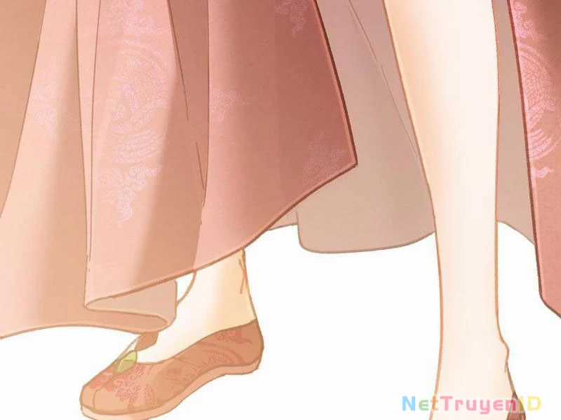 Đại Thừa Kỳ Mới Có Nghịch Tập Hệ Thống Chapter 55 trang 13