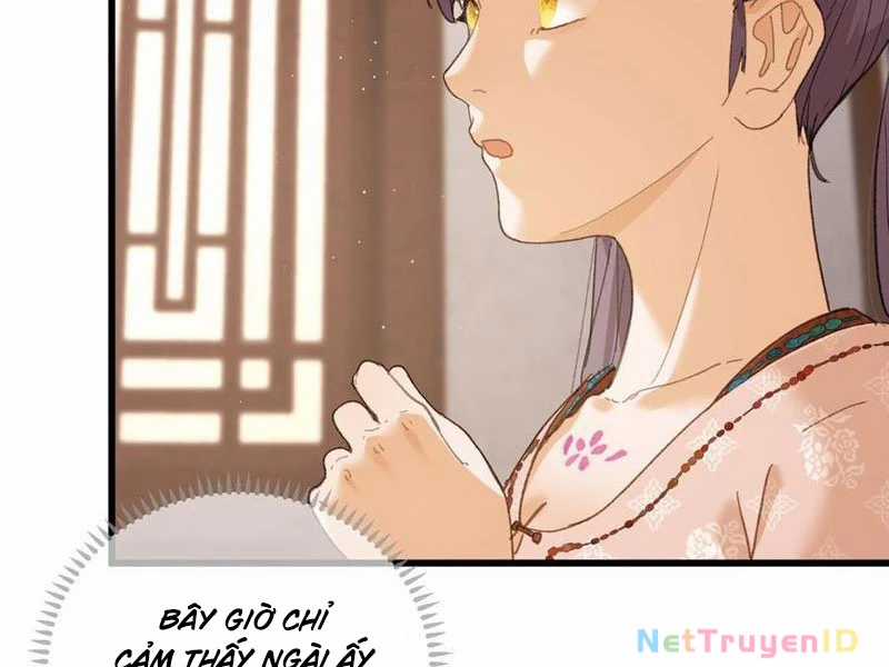 Đại Thừa Kỳ Mới Có Nghịch Tập Hệ Thống Chapter 55 trang 160