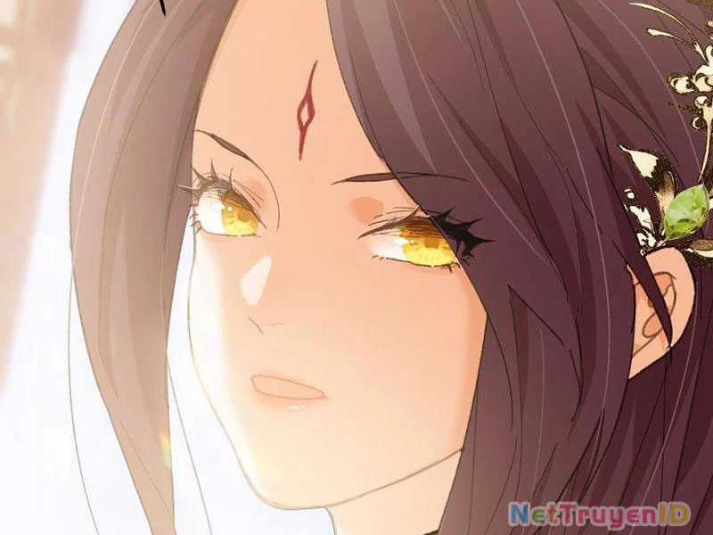 Đại Thừa Kỳ Mới Có Nghịch Tập Hệ Thống Chapter 55 trang 29