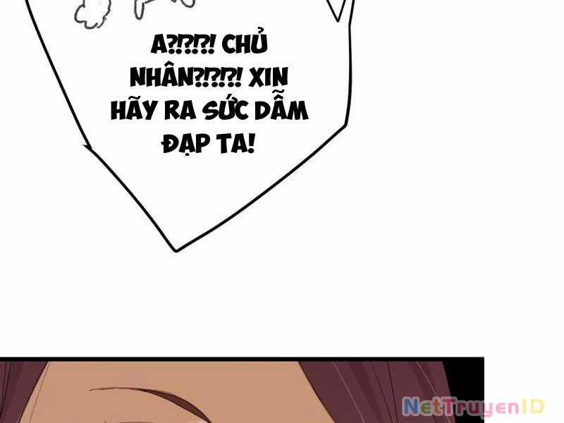 Đại Thừa Kỳ Mới Có Nghịch Tập Hệ Thống Chapter 55 trang 61