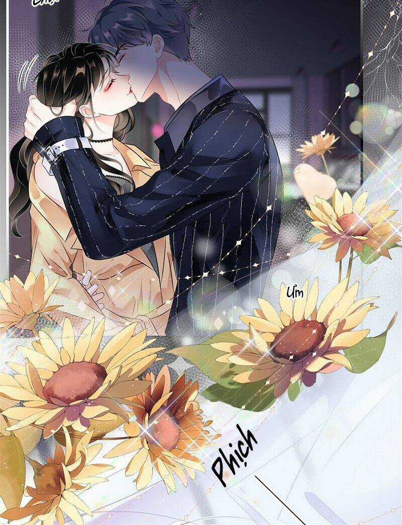 Đại Tiểu Thư Có Ý Đồ Gì Xấu Đâu Chapter 1 trang 17