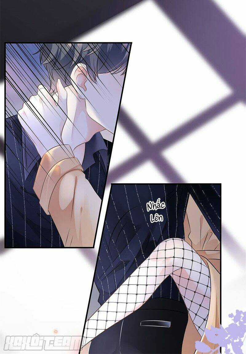 Đại Tiểu Thư Có Ý Đồ Gì Xấu Đâu Chapter 1 trang 9