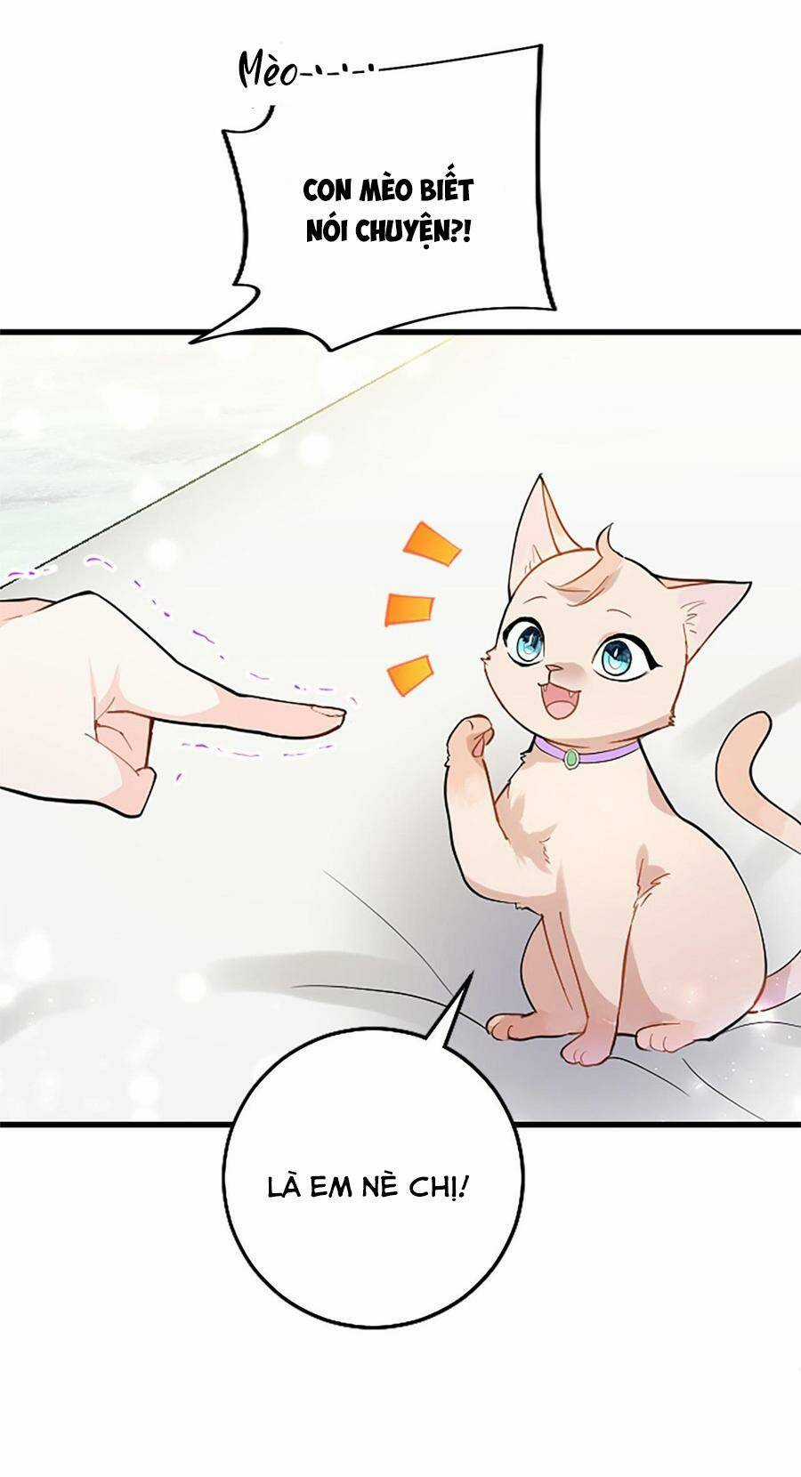 Đại Tiểu Thư Sao Phải Giả Nam Chapter 49 trang 14