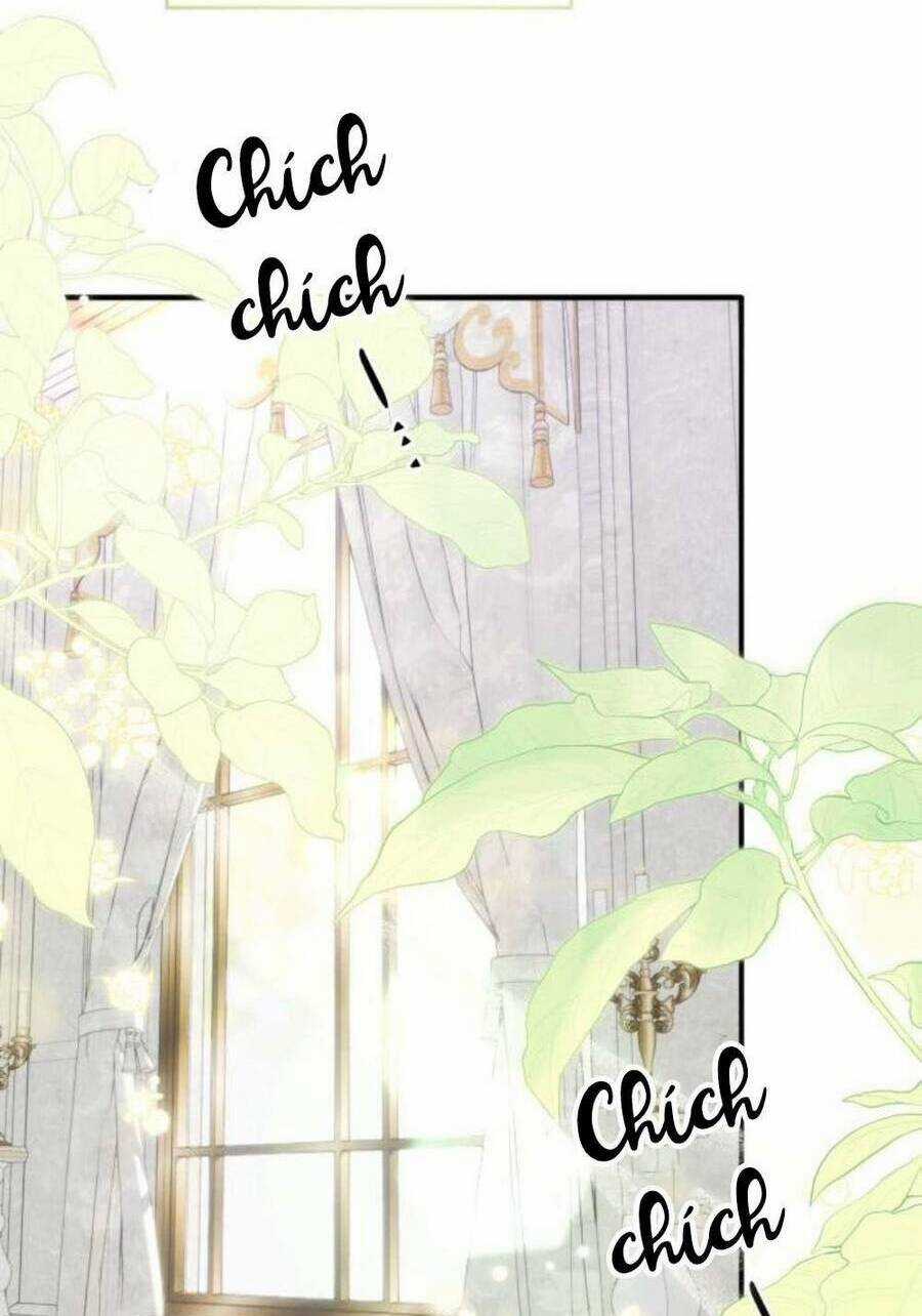 đại úy! chiến trường lần này là nơi này sao? Chapter 46.1 trang 58