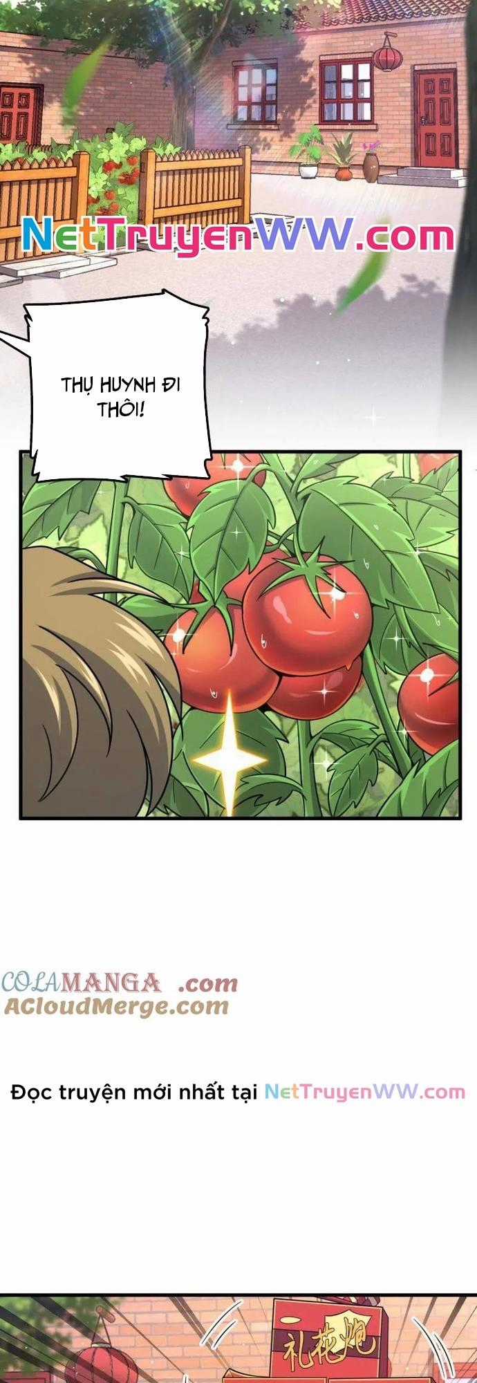 Đại Vương Tha Mạng Chapter 924 trang 1