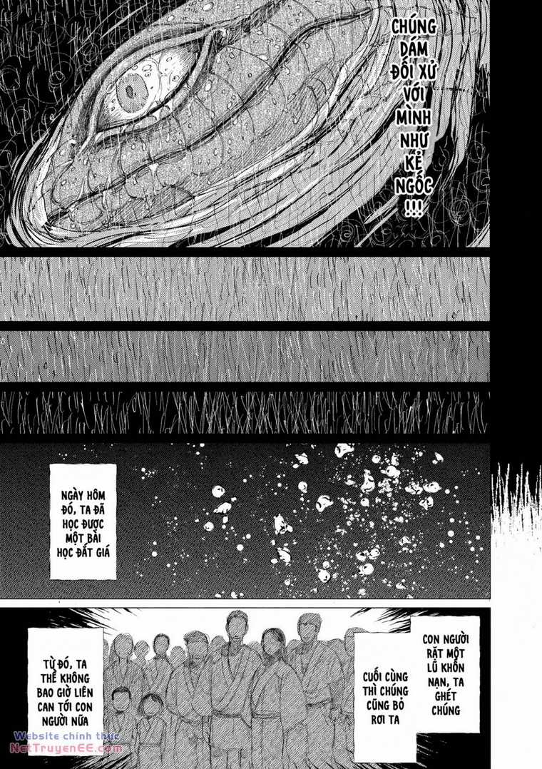 Đại Xà Phu Nhân Chapter 14 trang 24