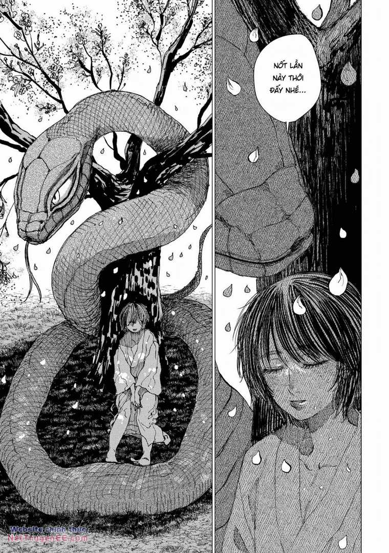 Đại Xà Phu Nhân Chapter 14 trang 33