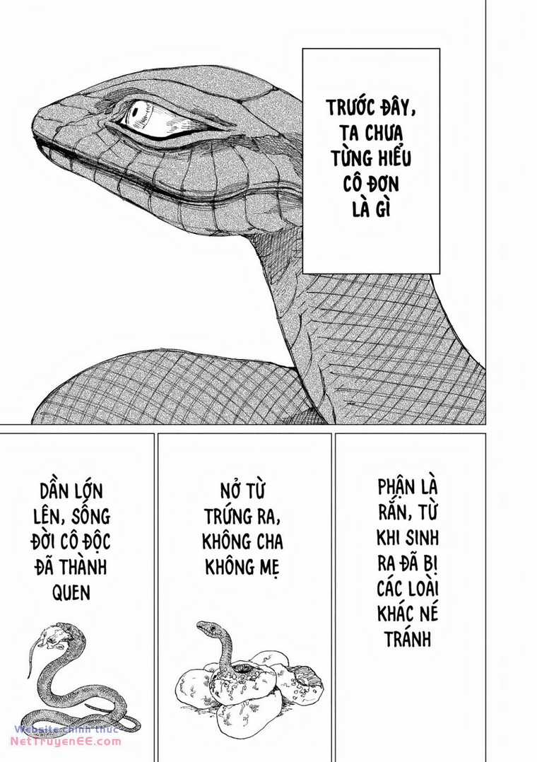 Đại Xà Phu Nhân Chapter 14 trang 40