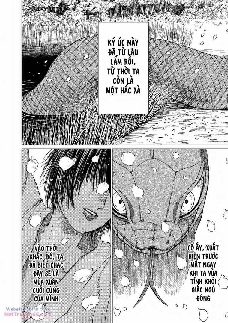 Đại Xà Phu Nhân Chapter 14 trang 7