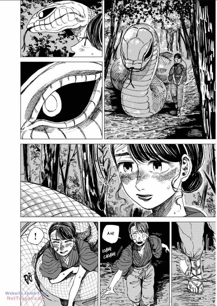 Đại Xà Phu Nhân Chapter 16 trang 11