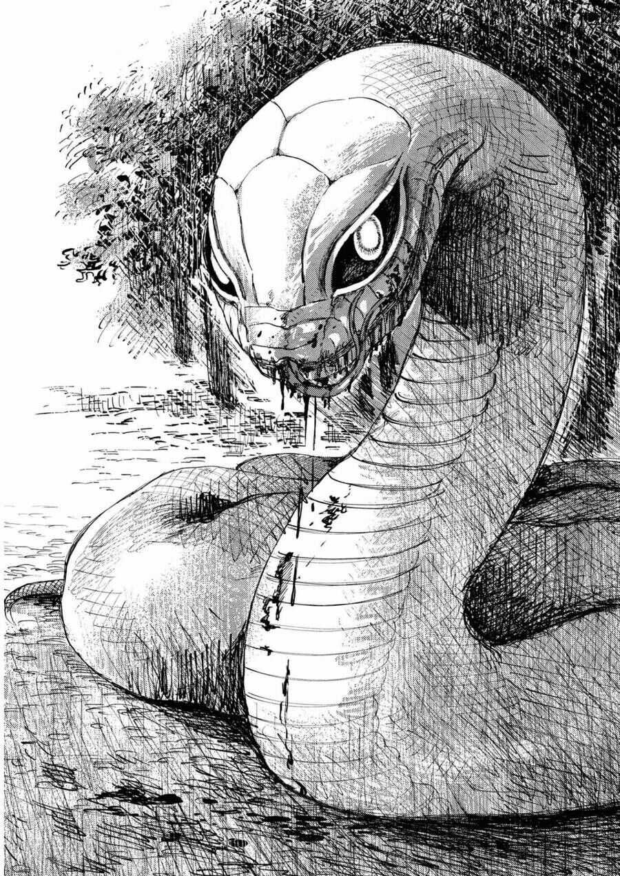 Đại Xà Phu Nhân Chapter 18 trang 34