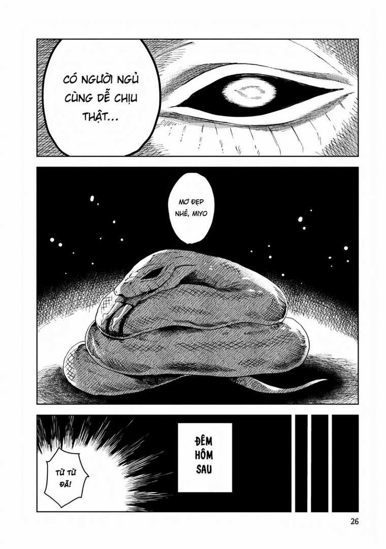 Đại Xà Phu Nhân Chapter 2 trang 11