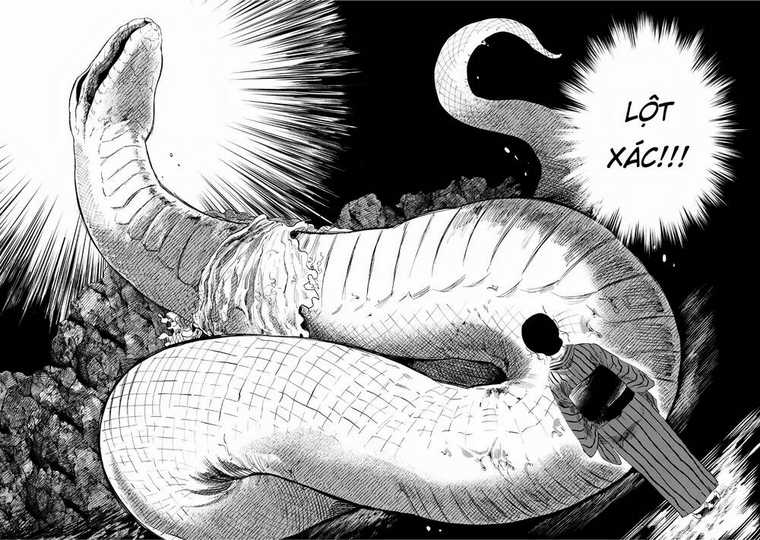 Đại Xà Phu Nhân Chapter 3 trang 17