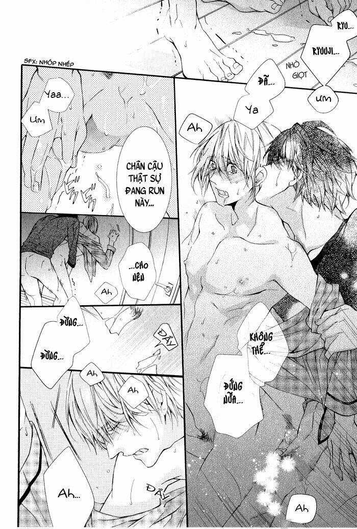 Daiji Na Koto Nanode, Nino Chapter 4 trang 17