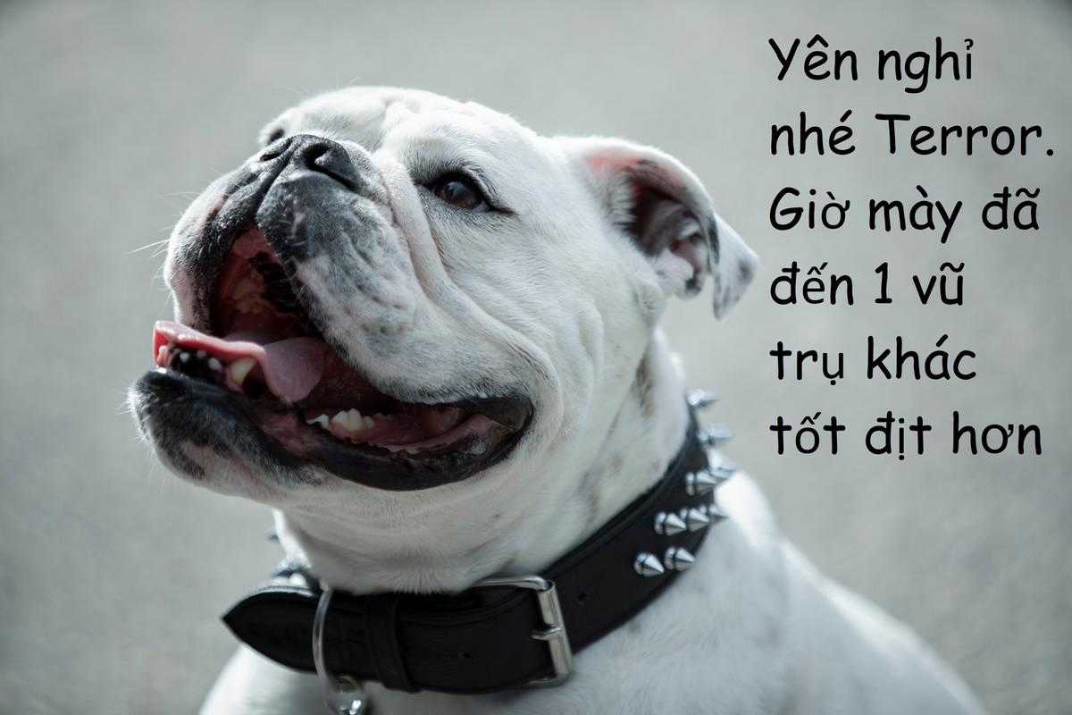 Đám bồ tèo Chapter 59 trang 28