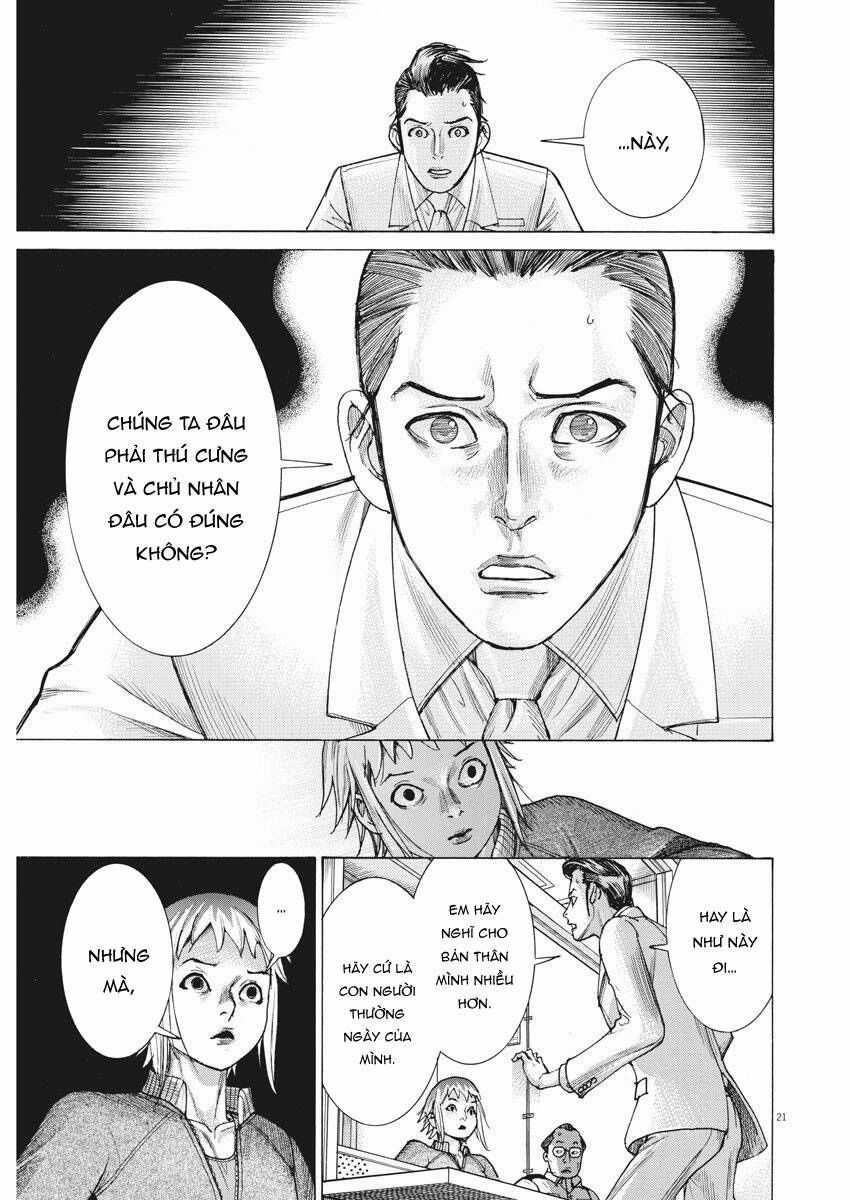 Đám Cưới Của Natsume Arata Chương 19 trang 21