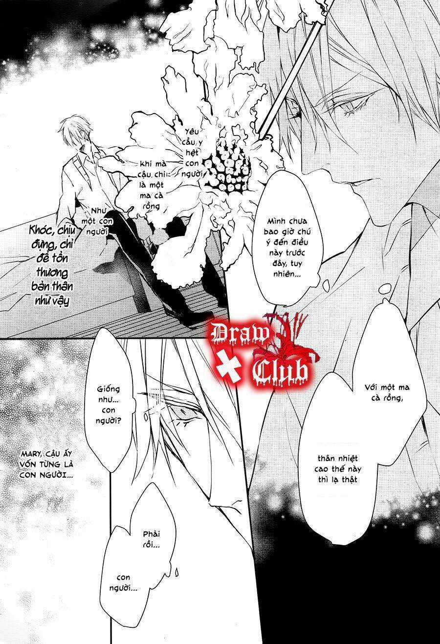 Đẫm máu Đức Mẹ Chapter 28 trang 16
