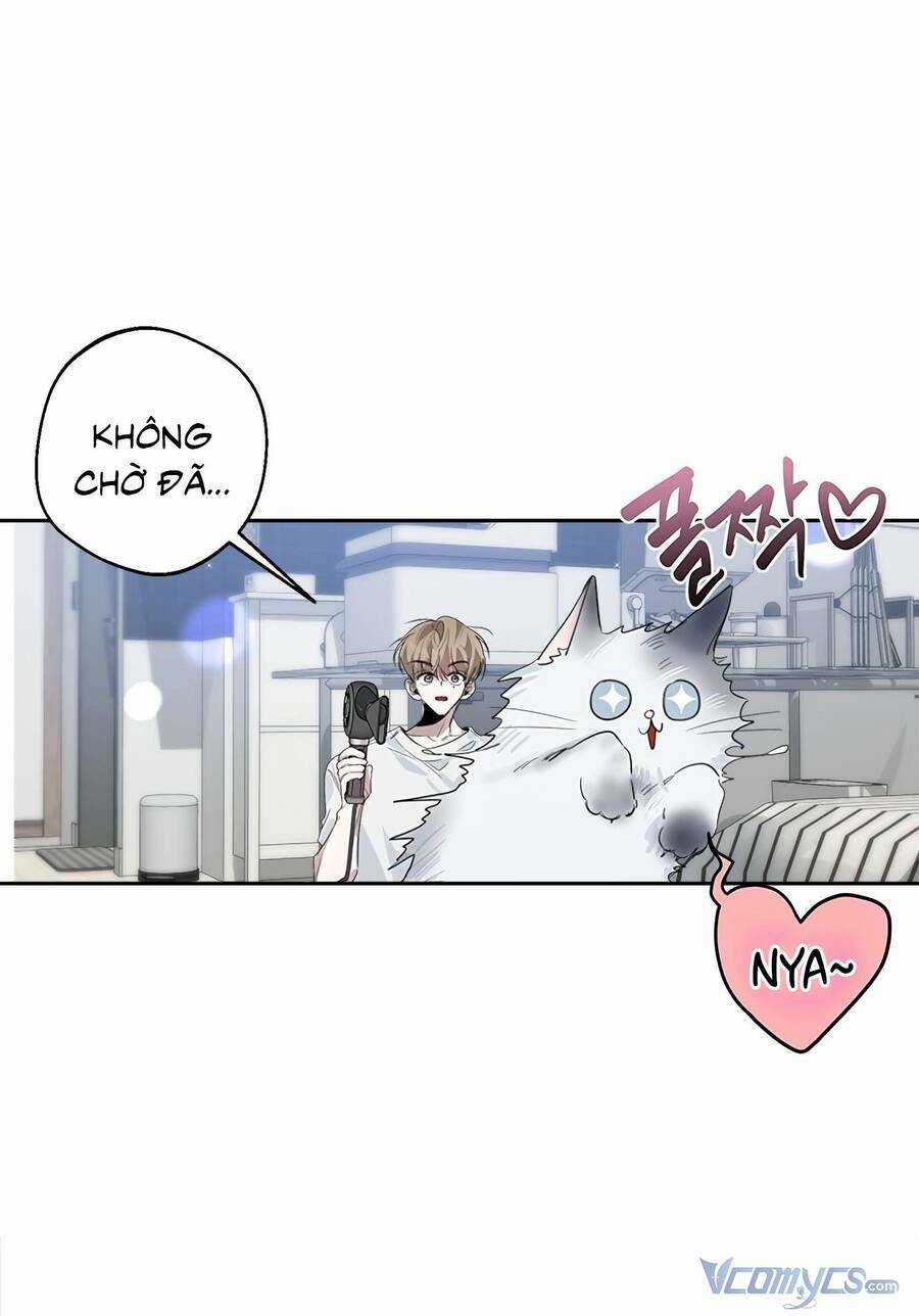 Đàn Anh Xấu Xa Chapter 35 trang 12