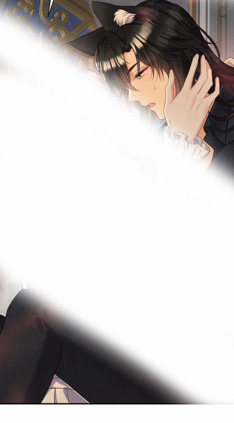 Dẫn Sói Vào Phòng Chapter 158 trang 13