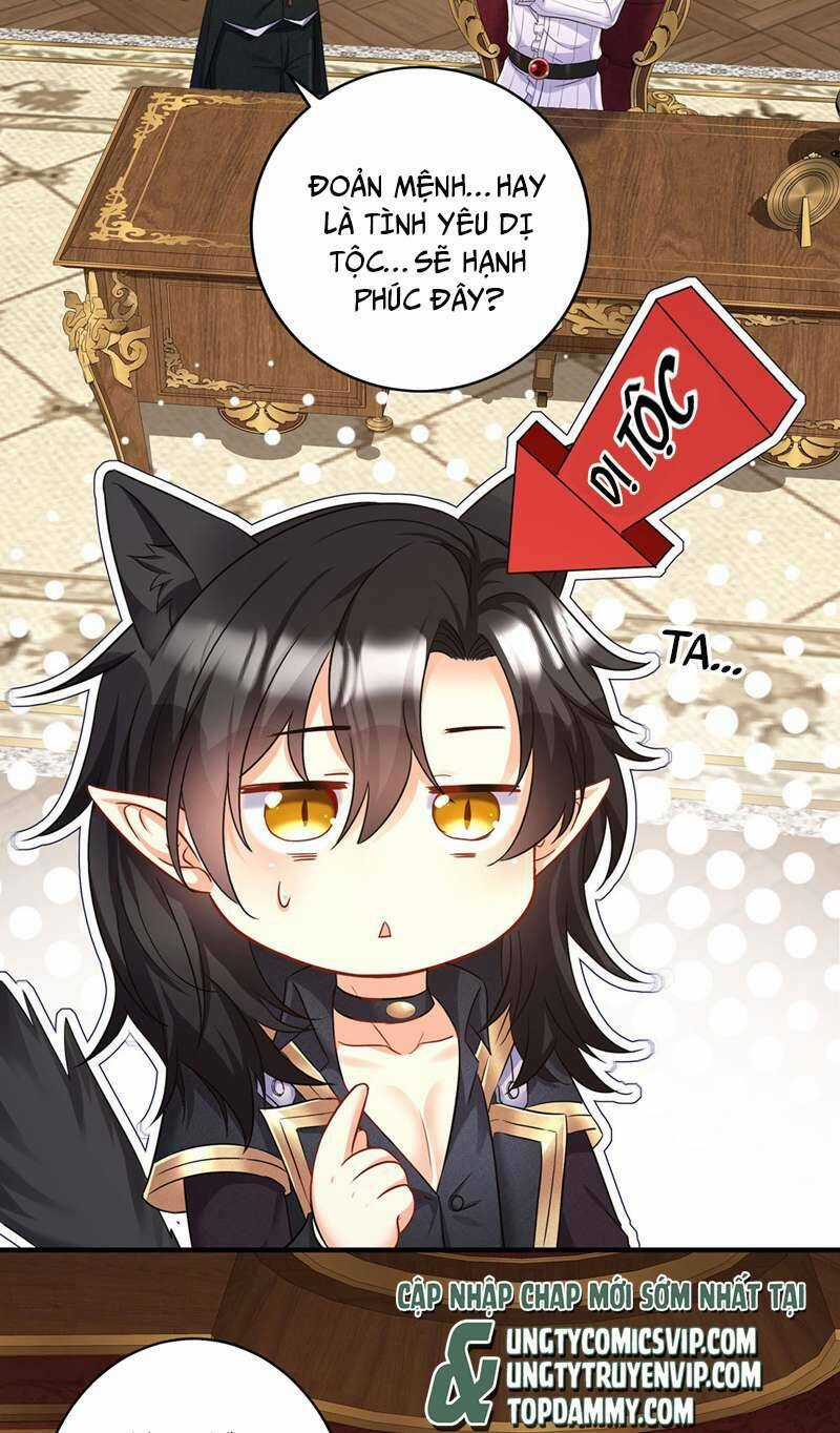 Dẫn Sói Vào Phòng Chapter 161 trang 5