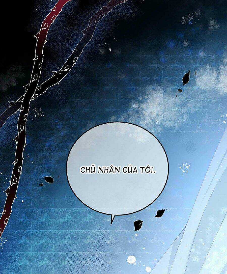 Dẫn Sói Vào Phòng Chapter 2 trang 11