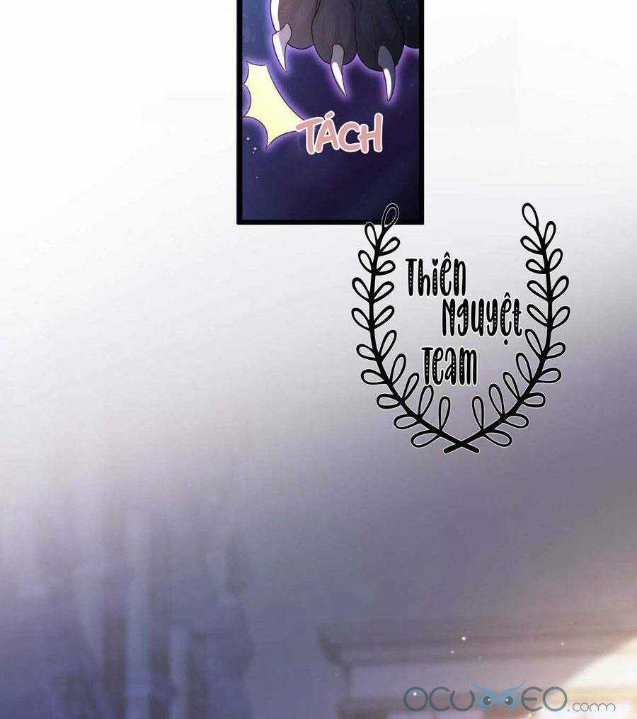 Dẫn Sói Vào Phòng Chapter 7 trang 17