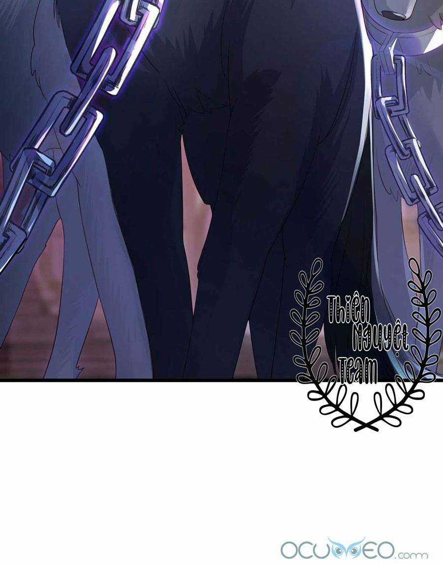 Dẫn Sói Vào Phòng Chapter 7 trang 19