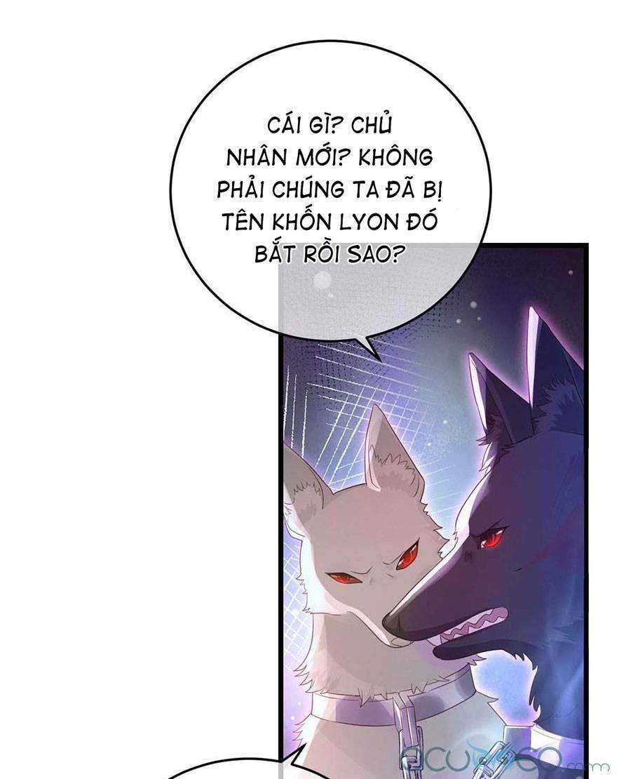 Dẫn Sói Vào Phòng Chapter 7 trang 25