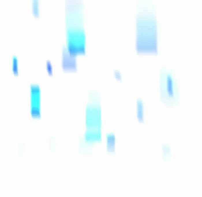 Đăng Ký Kênh Siêu Phàm Chương 2 trang 44