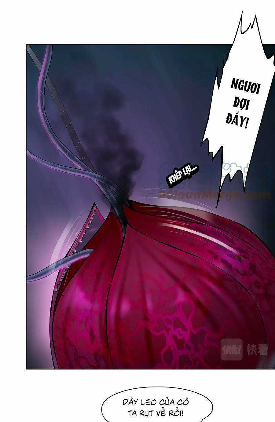 Đằng Nữ Chapter 170 trang 1