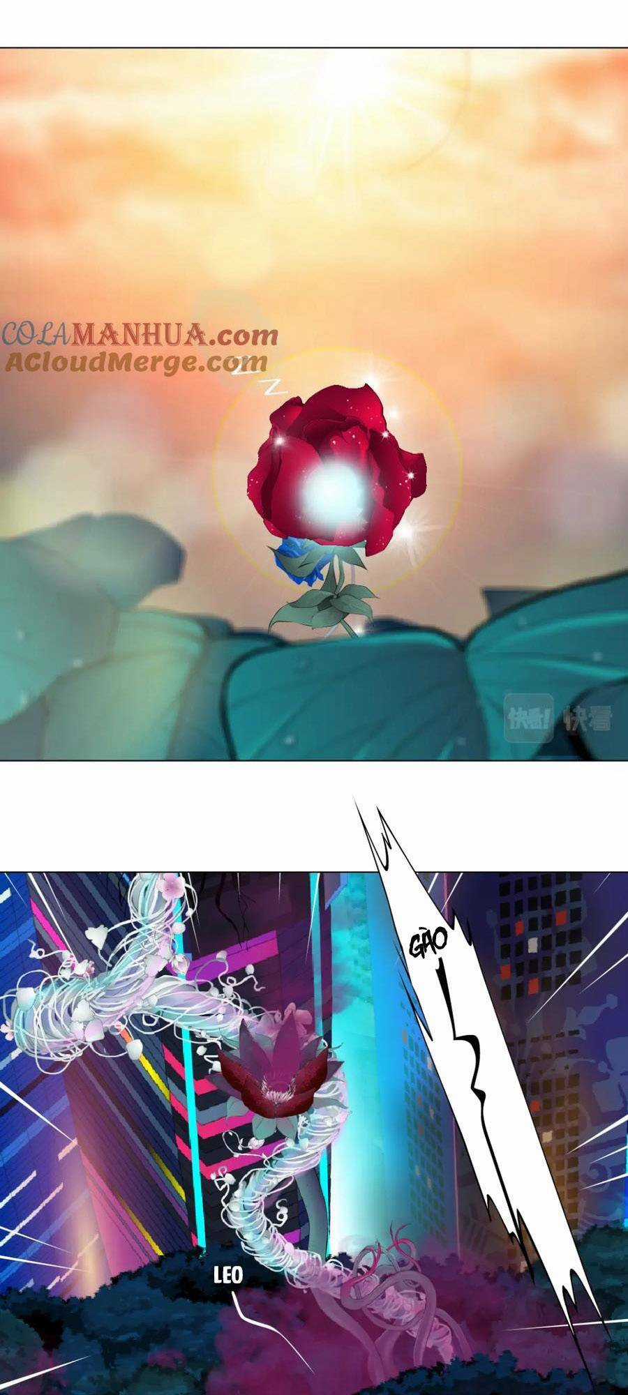 Đằng Nữ Chapter 229 trang 0