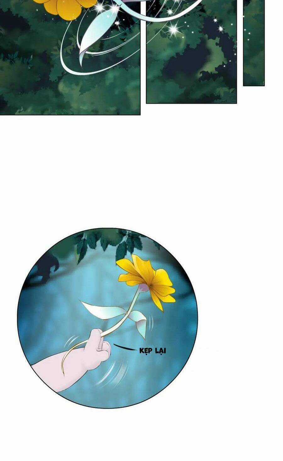 Đằng Nữ Chapter 231 trang 12