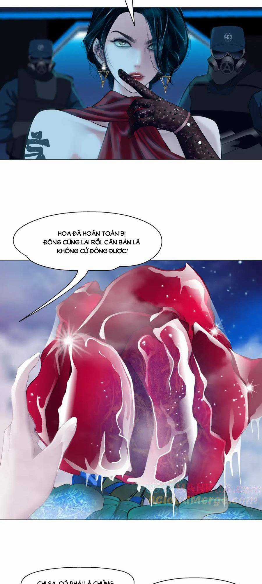 Đằng Nữ Chapter 232 trang 10