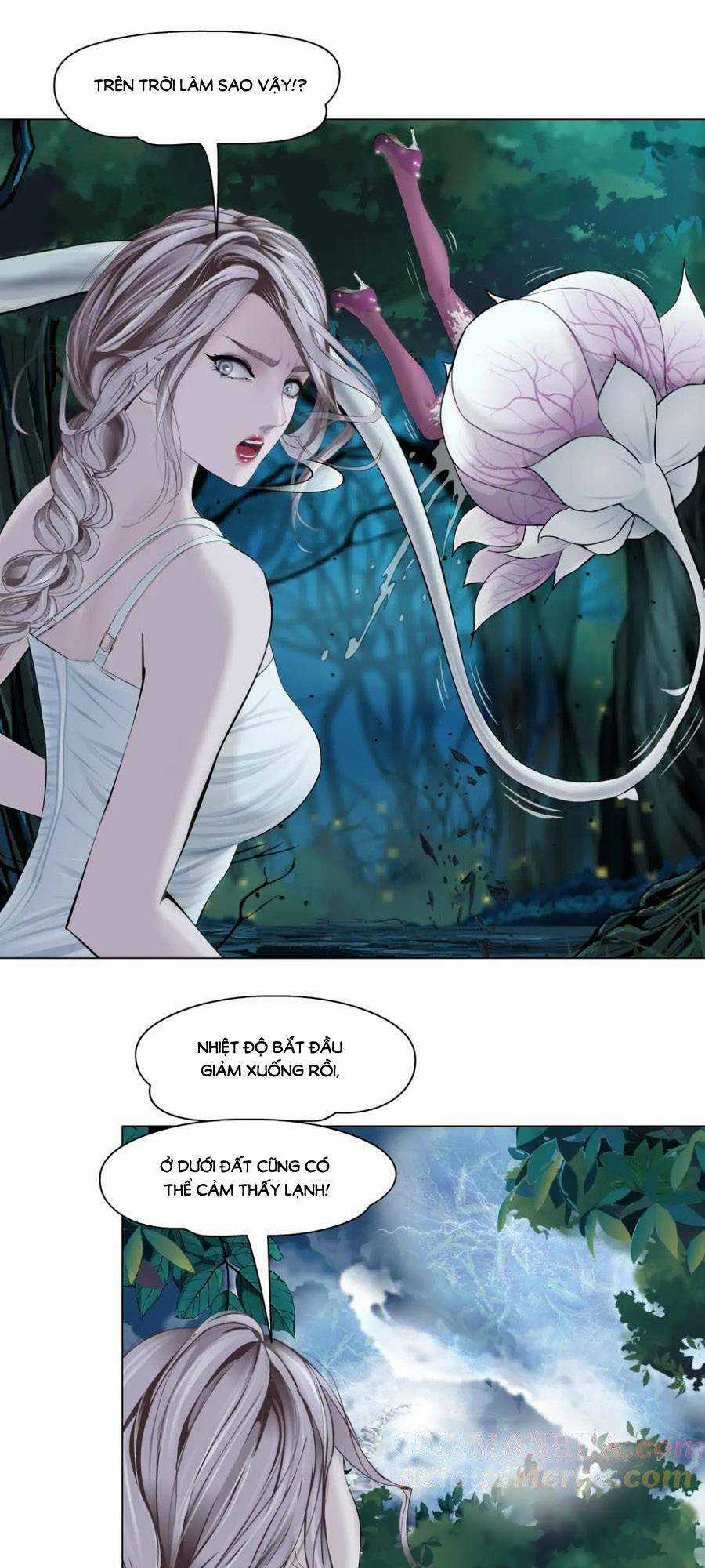 Đằng Nữ Chapter 232 trang 2