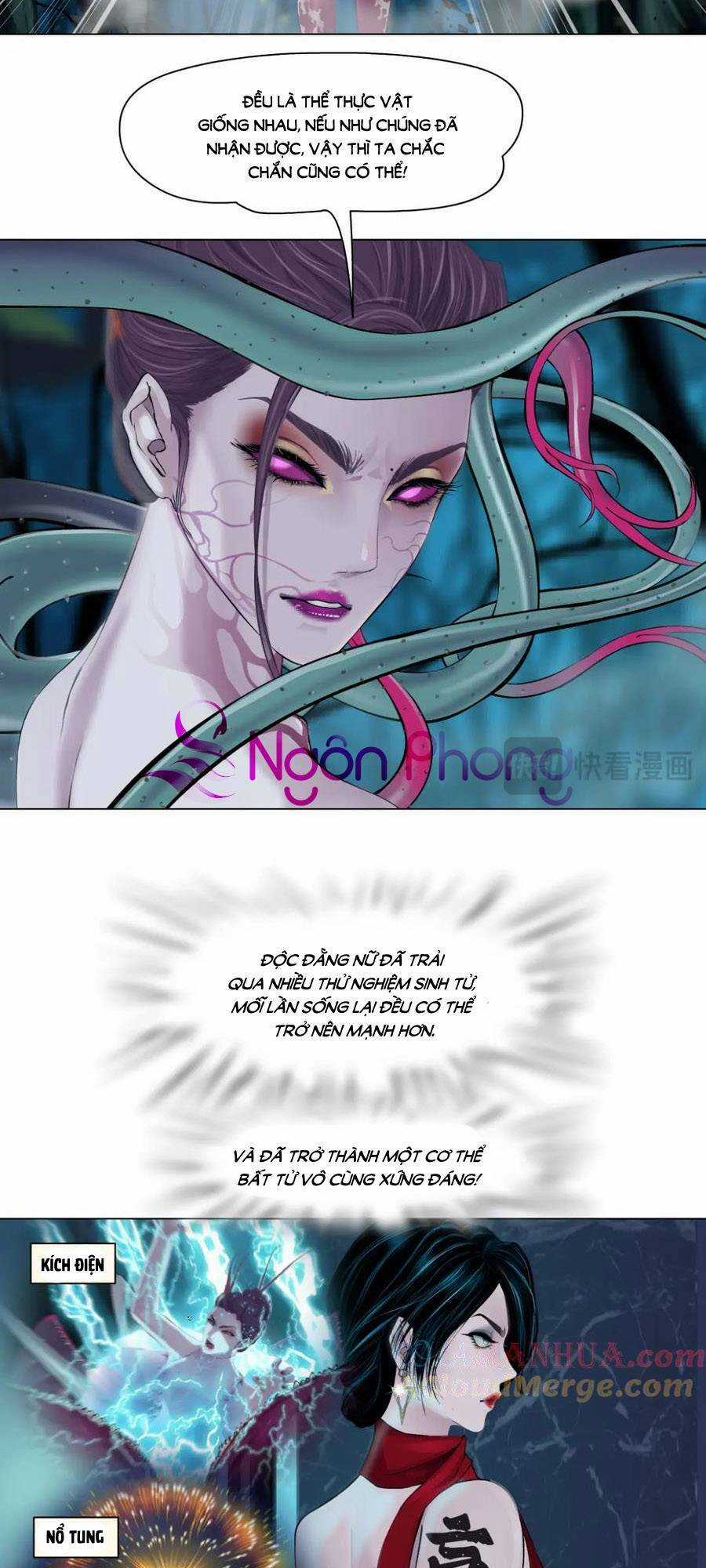 Đằng Nữ Chapter 233 trang 6