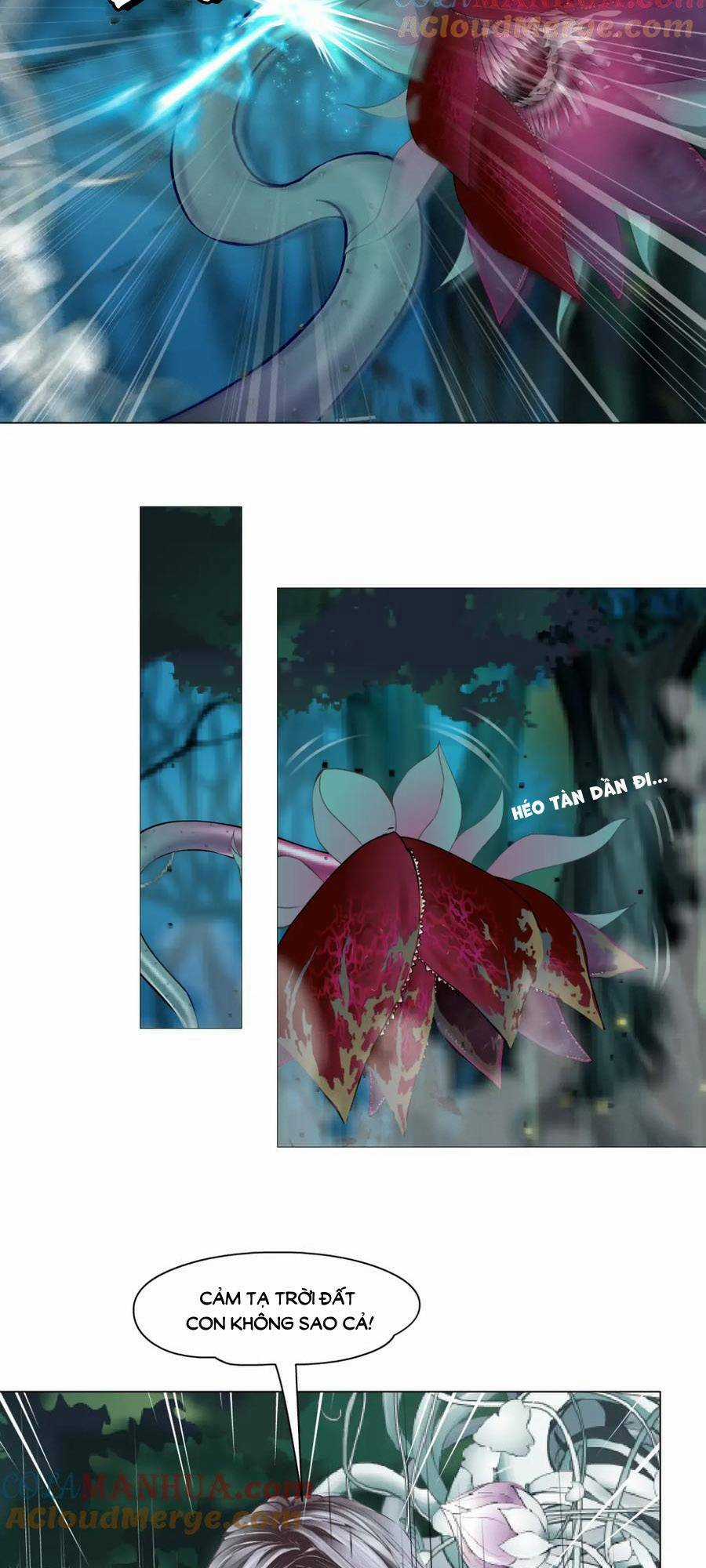 Đằng Nữ Chapter 234 trang 3