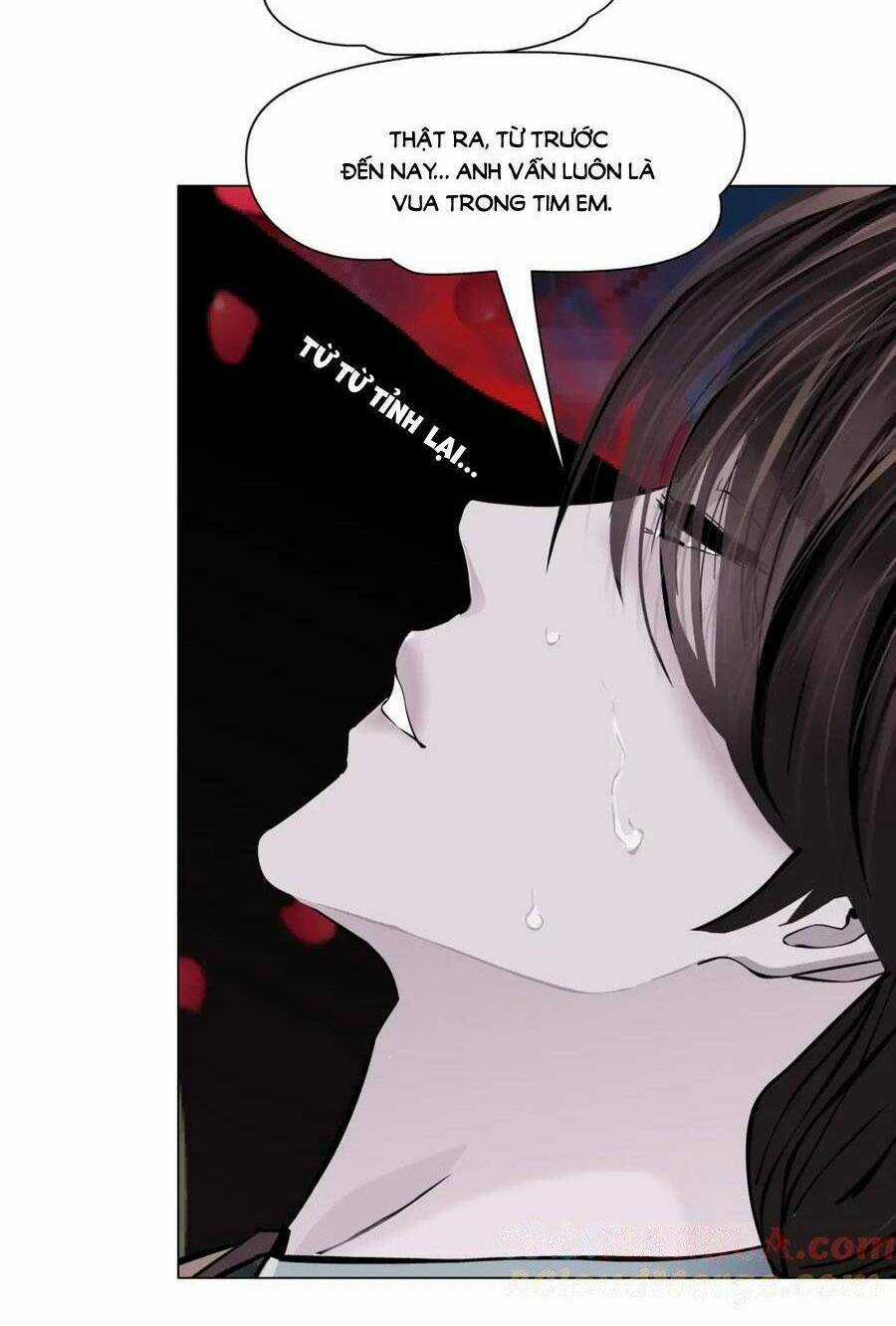 Đằng Nữ Chapter 241 trang 34