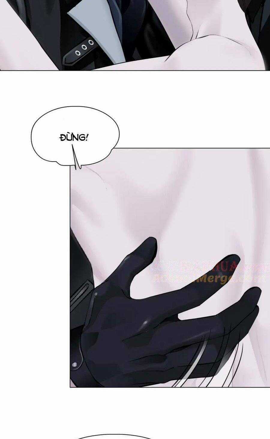 Đằng Nữ Chapter 251 trang 18