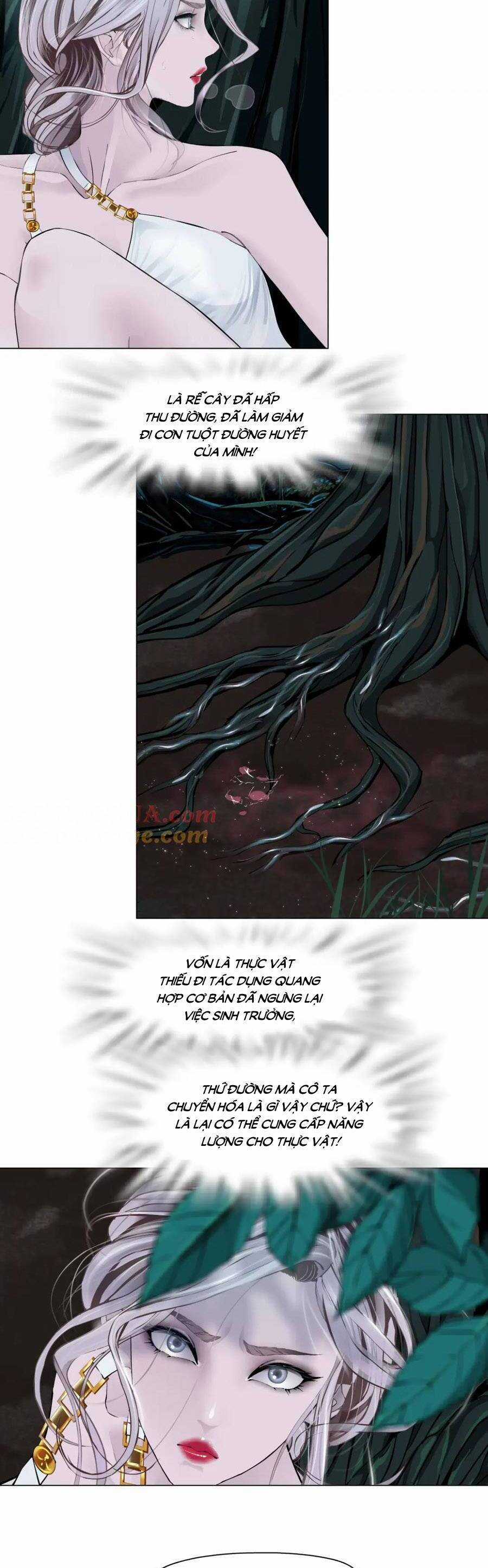 Đằng Nữ Chapter 263 trang 14