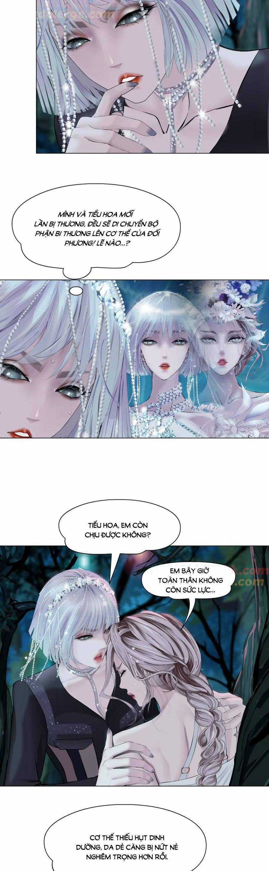 Đằng Nữ Chapter 263 trang 3