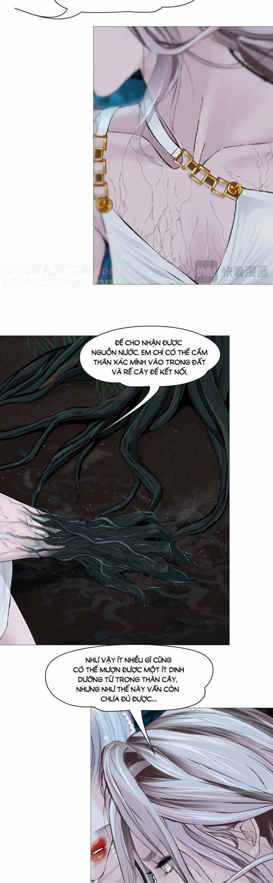 Đằng Nữ Chapter 263 trang 4