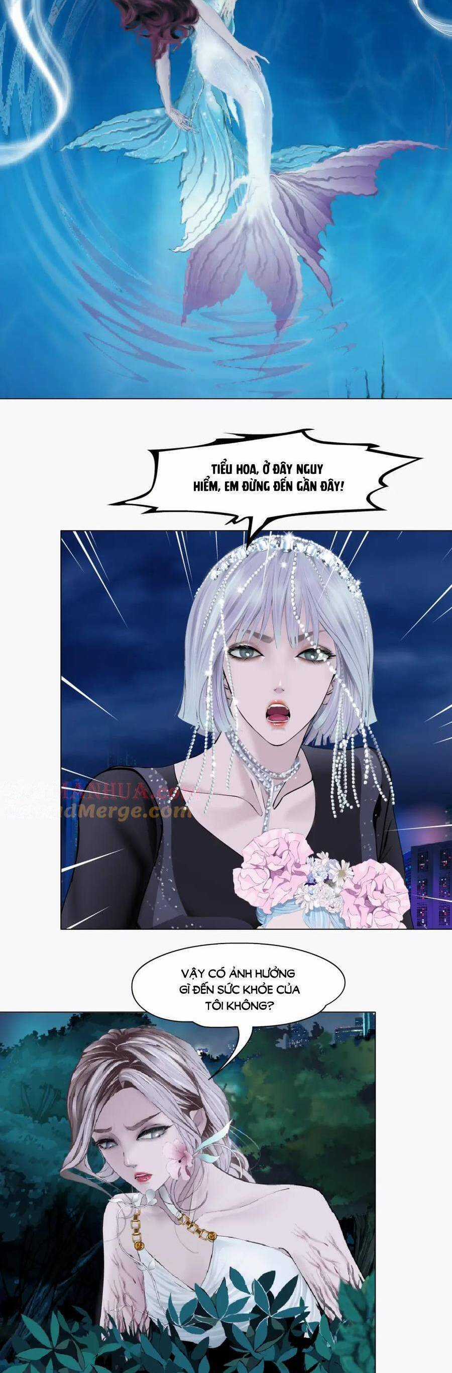 Đằng Nữ Chapter 265 trang 14