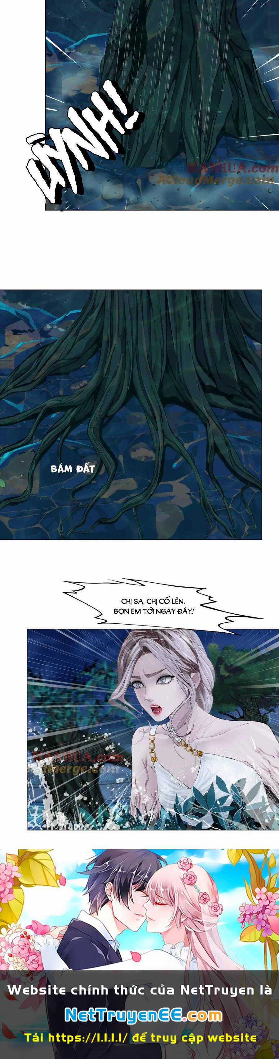 Đằng Nữ Chapter 265 trang 18