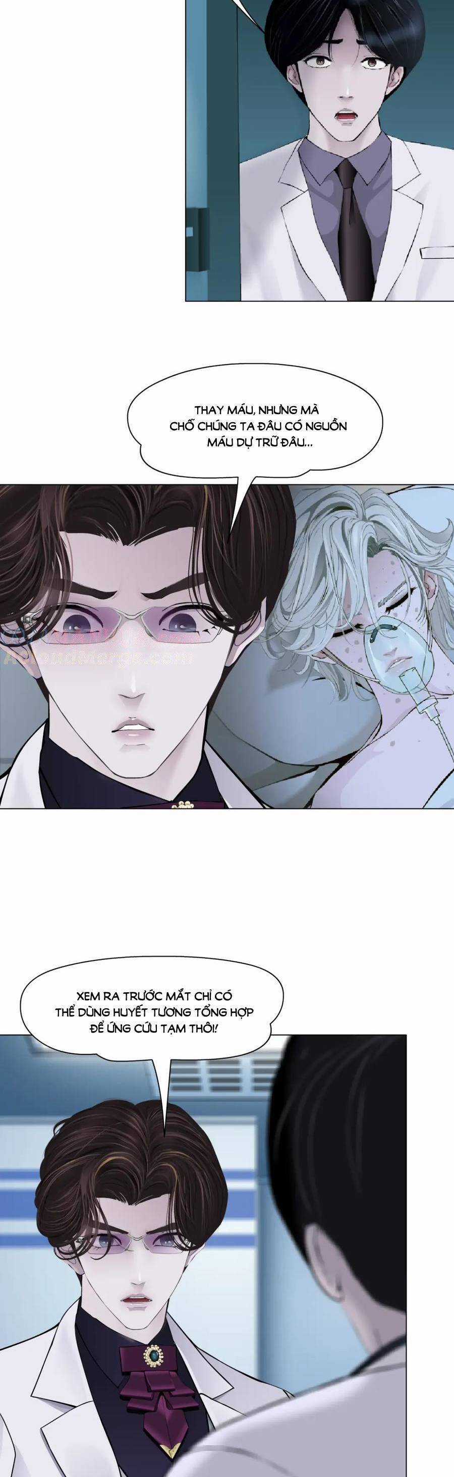 Đằng Nữ Chapter 265 trang 5