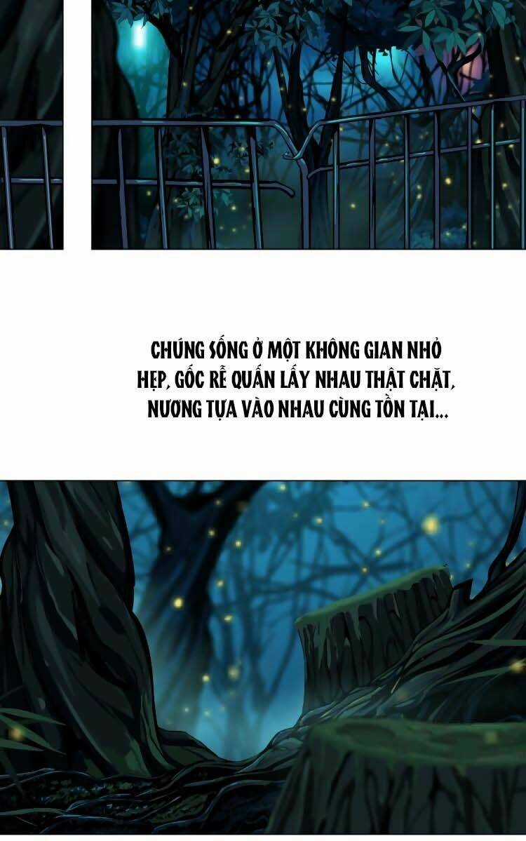 Đằng Nữ Chapter 4 trang 13